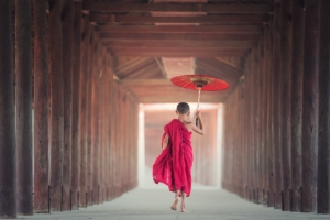 umbrella-g2ec72a3d3_1920