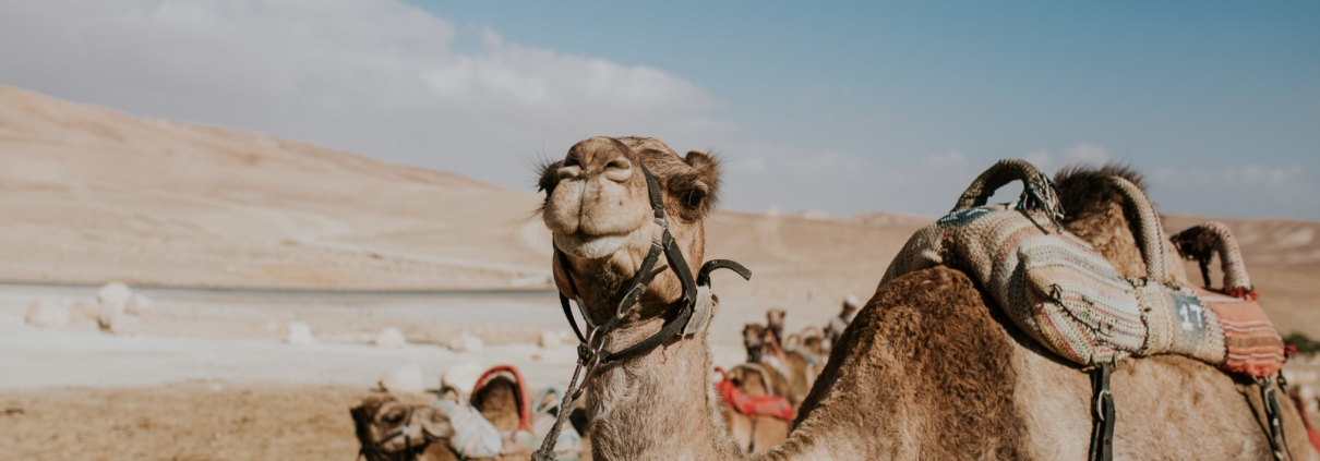 cole-keister-u-0w1ZPZF94-unsplash
