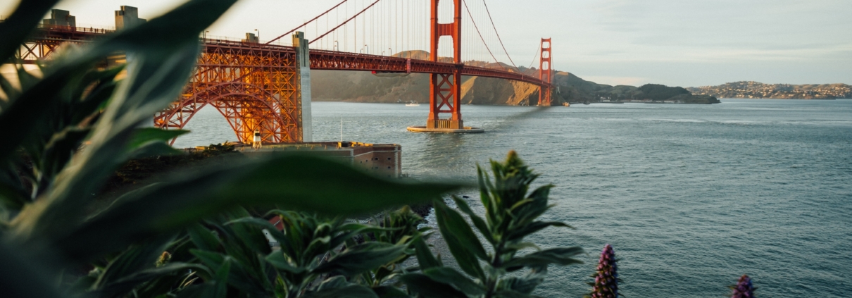 tim-foster-o4mP43oPGHk-unsplash