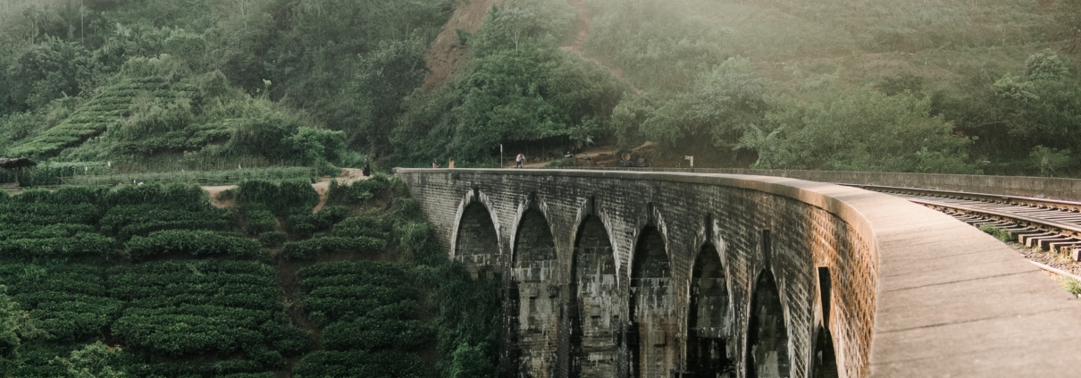 lucija-ros-N_PuH70i8PA-unsplash