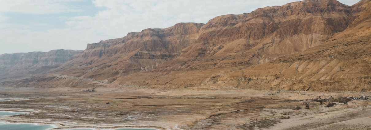 dave-herring-tArR7ys2F3Q-unsplash