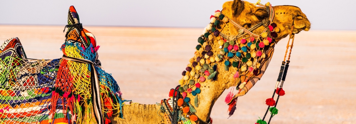 hari-nandakumar-5U132F-itpg-unsplash